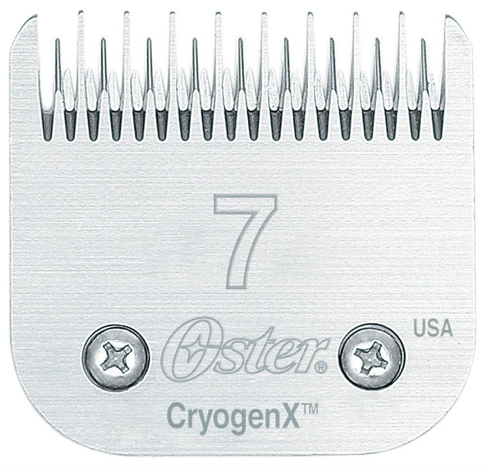 Oster Cryogen-X Size 7 Skär | Kvalité Häst & Hund