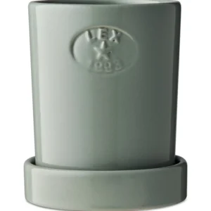Lexington Terracotta Plant Pot Eucalyptus S