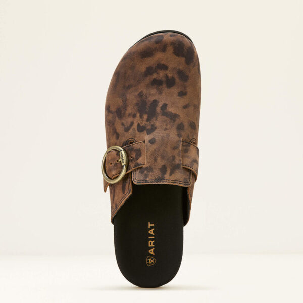 Ariat Country Mule Leopard Suede - Bild 2